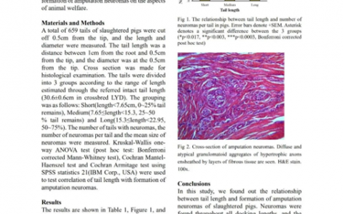 征集 | 第十二届李曼大会全面开启新一代养猪兽医研讨会报告及墙报征集活动！快来报名吧！