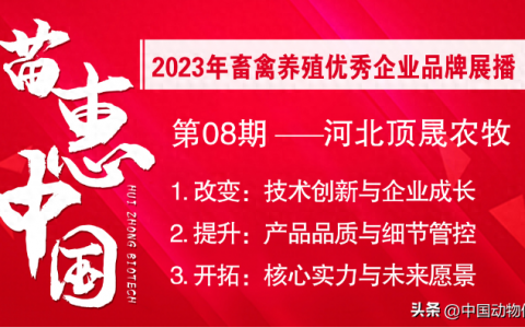 【苗惠中国】从技术创新到市场拓展的跨越式发展之路——访石家庄无极顶晟农牧科技有限公司