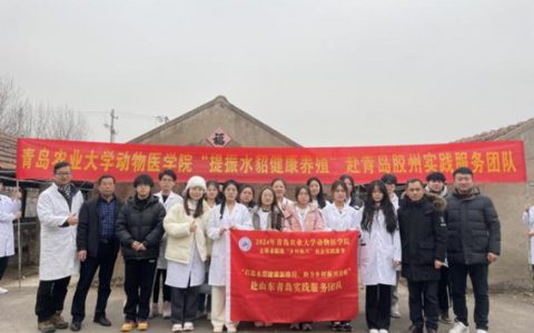 青岛农业大学动物医学院“提振水貂健康养殖”赴青岛胶州实践服务团队寒假行