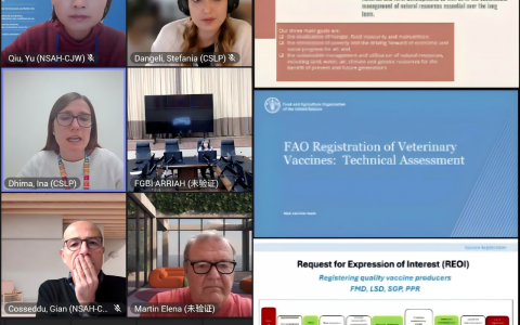 联合国粮食及农业组织（FAO）组织召开口蹄疫疫苗投标者会议（BIDDERS CONFERENCE）