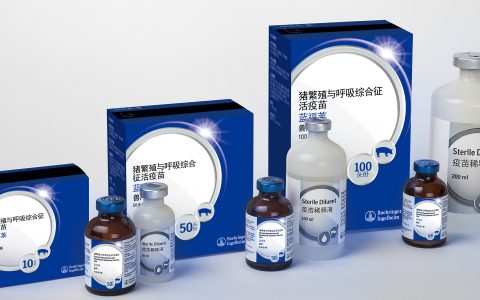 勃林格殷格翰蓝福莱®疫苗焕新上市，助力中国养猪业防控再升级