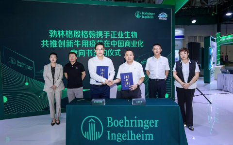 勃林格殷格翰将携手正业生物共推创新牛用疫苗在中国商业化