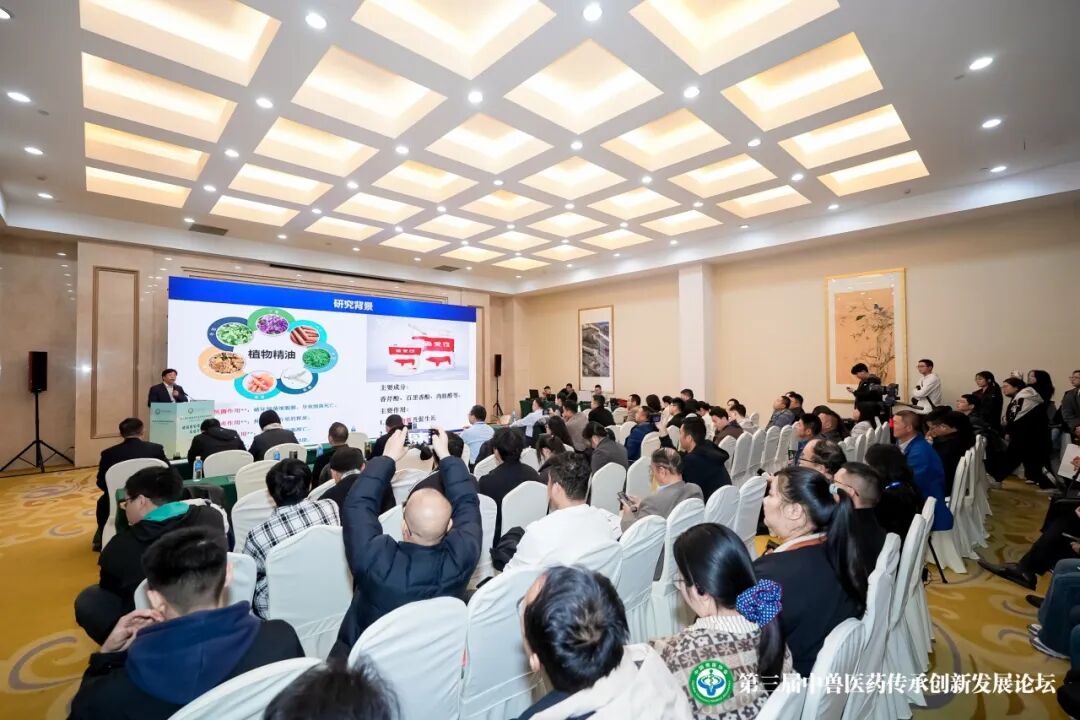 第三届中兽医药传承创新发展论坛丨猪健康管理与绿色养殖专场成功举办