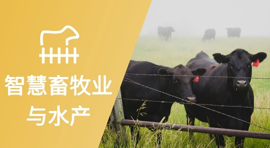 围栏里站着几头牛AI 生成的内容可能不正确。