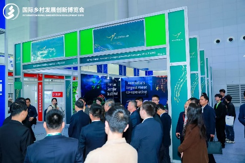 许多人在排队AI 生成的内容可能不正确。