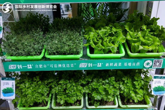 街道上有店铺的标志绿色蔬菜AI 生成的内容可能不正确。