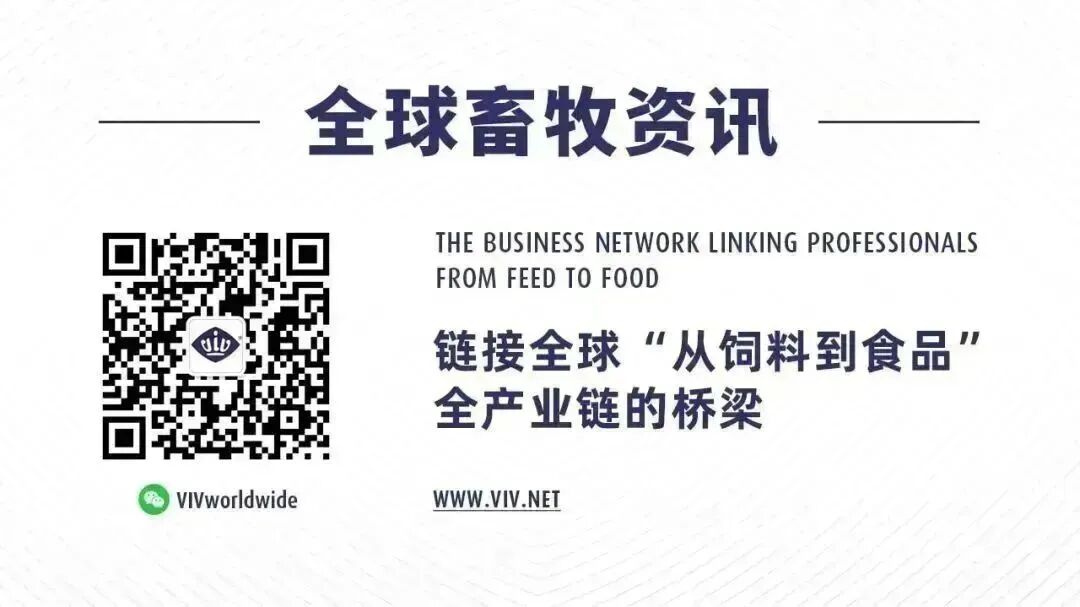 国内国际宣传亮眼“成绩单”来了！VIV SELECT CHINA团队近期分批奔赴中东及中国各地，再掀宣传推广热潮！