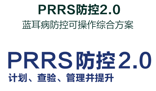 蓝福莱®入华二十载：中国蓝耳病防控历程的见证者与引领者