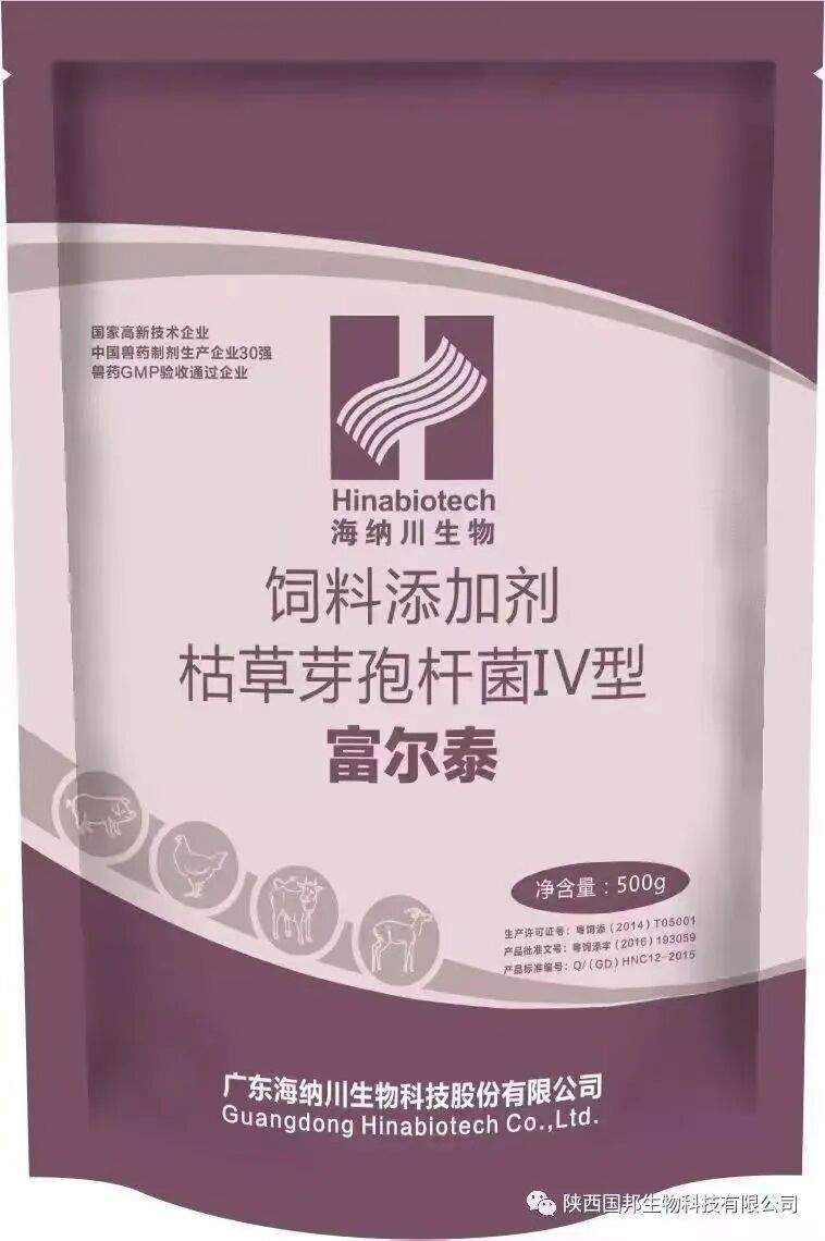 告别抗生素保健依赖！非瘟防控经验引领无抗养殖提质增效