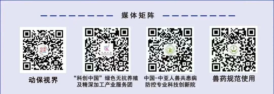 告别抗生素保健依赖！非瘟防控经验引领无抗养殖提质增效