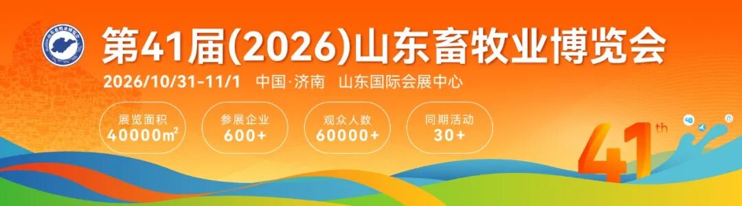 官宣定档 | 深耕实效服务，助力企业高质量增长