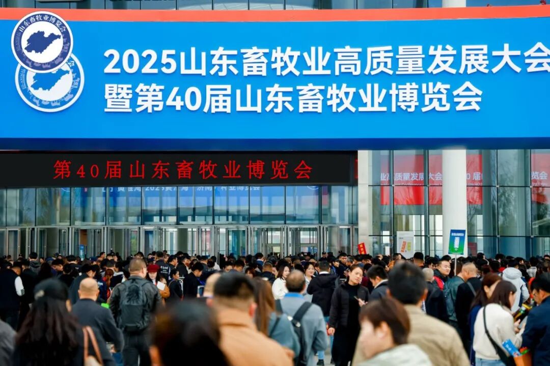 官宣定档 | 深耕实效服务，助力企业高质量增长