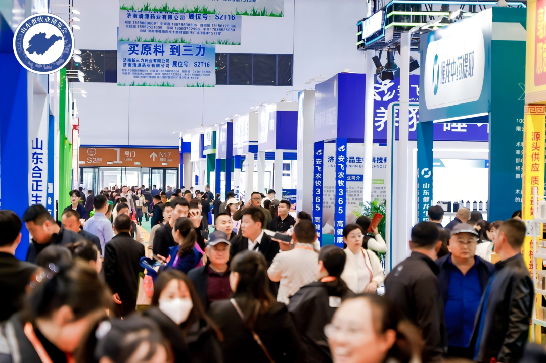 官宣定档 | 深耕实效服务，助力企业高质量增长