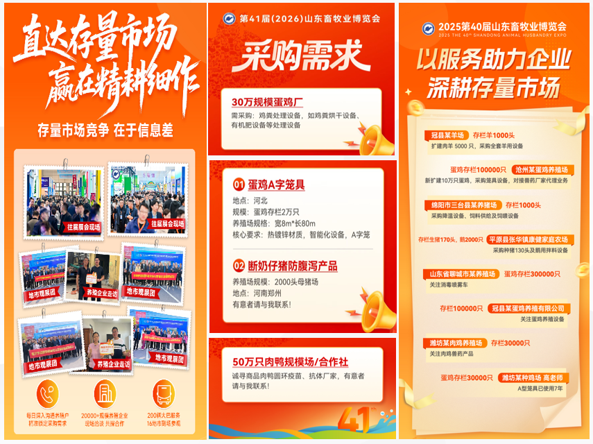 官宣定档 | 深耕实效服务，助力企业高质量增长