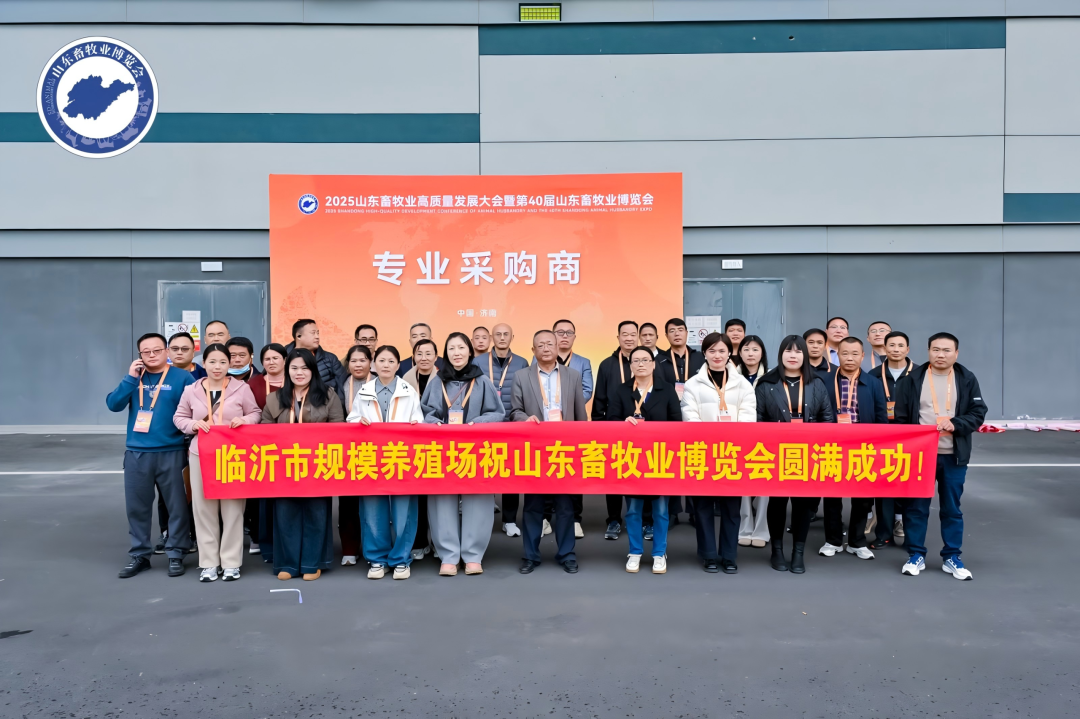 官宣定档 | 深耕实效服务，助力企业高质量增长