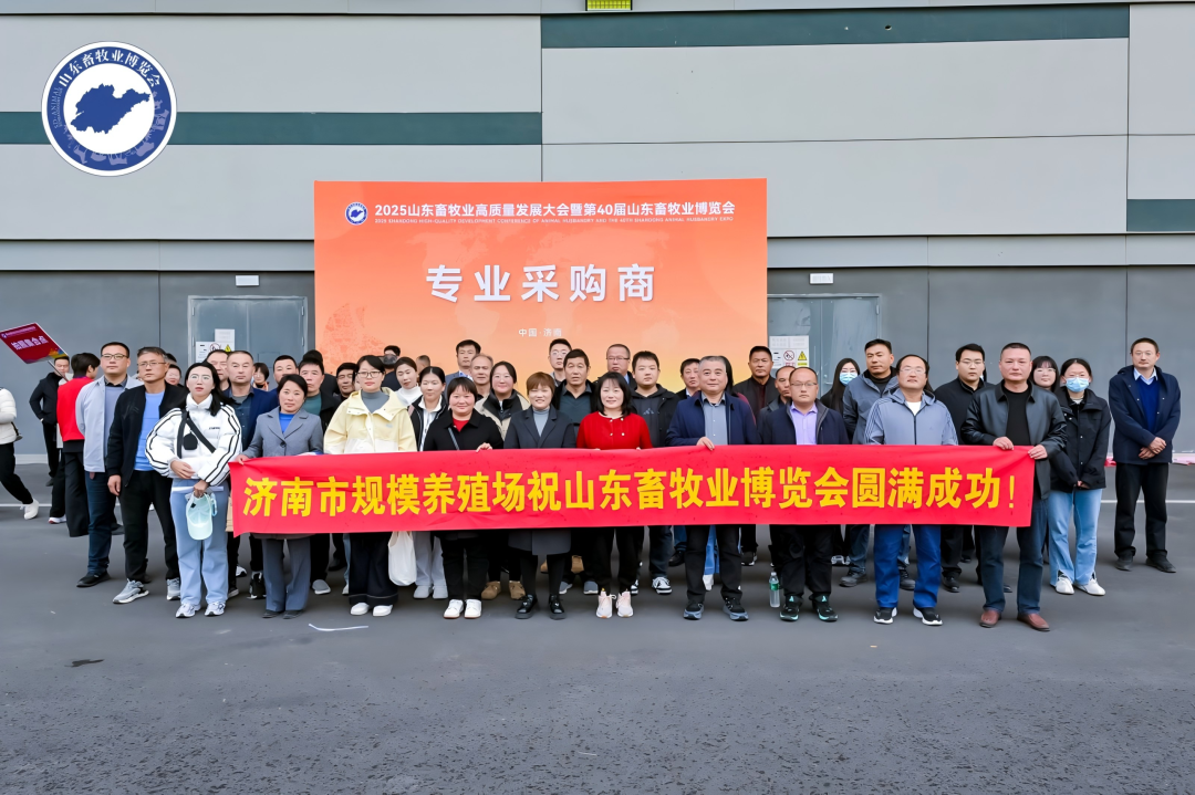 官宣定档 | 深耕实效服务，助力企业高质量增长