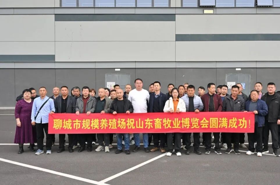 官宣定档 | 深耕实效服务，助力企业高质量增长