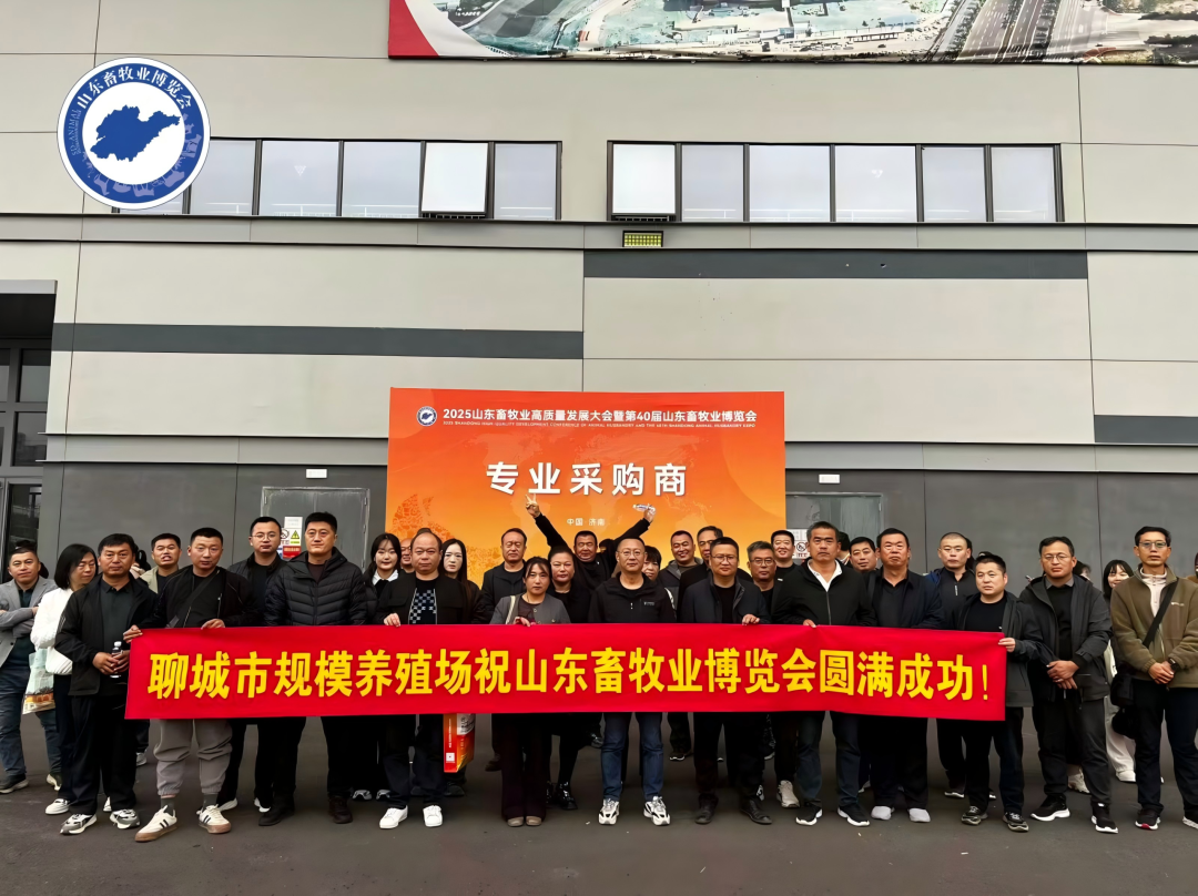 官宣定档 | 深耕实效服务，助力企业高质量增长