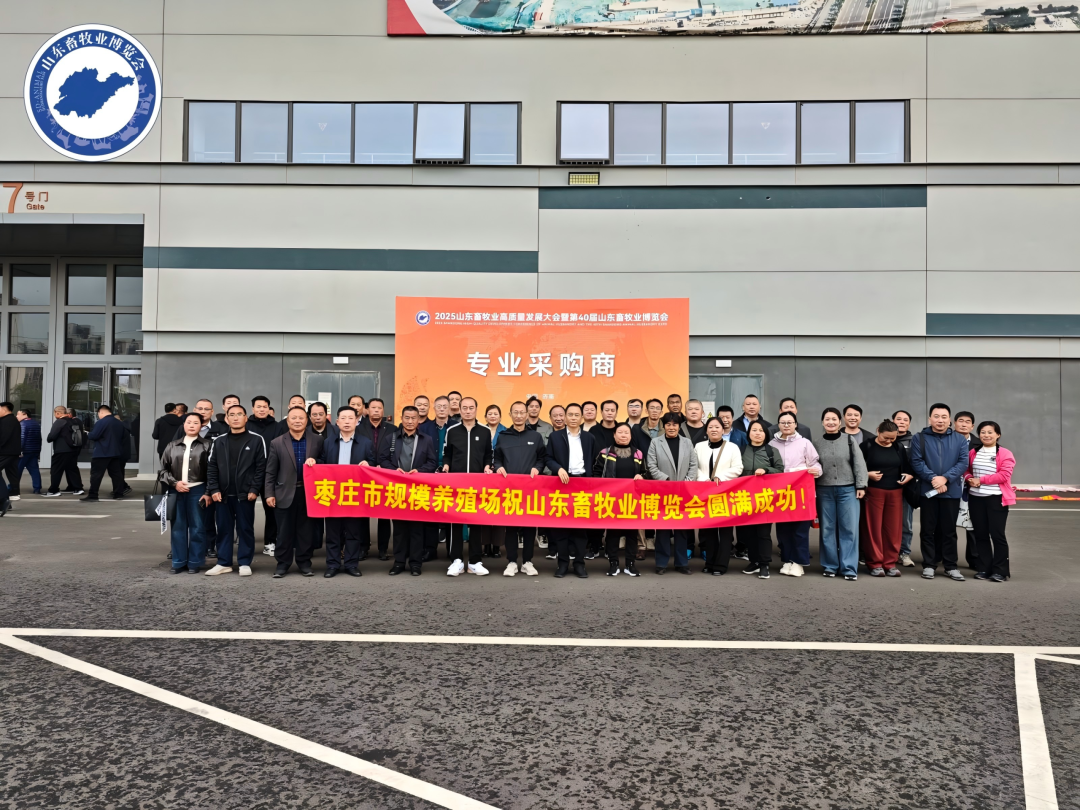 官宣定档 | 深耕实效服务，助力企业高质量增长