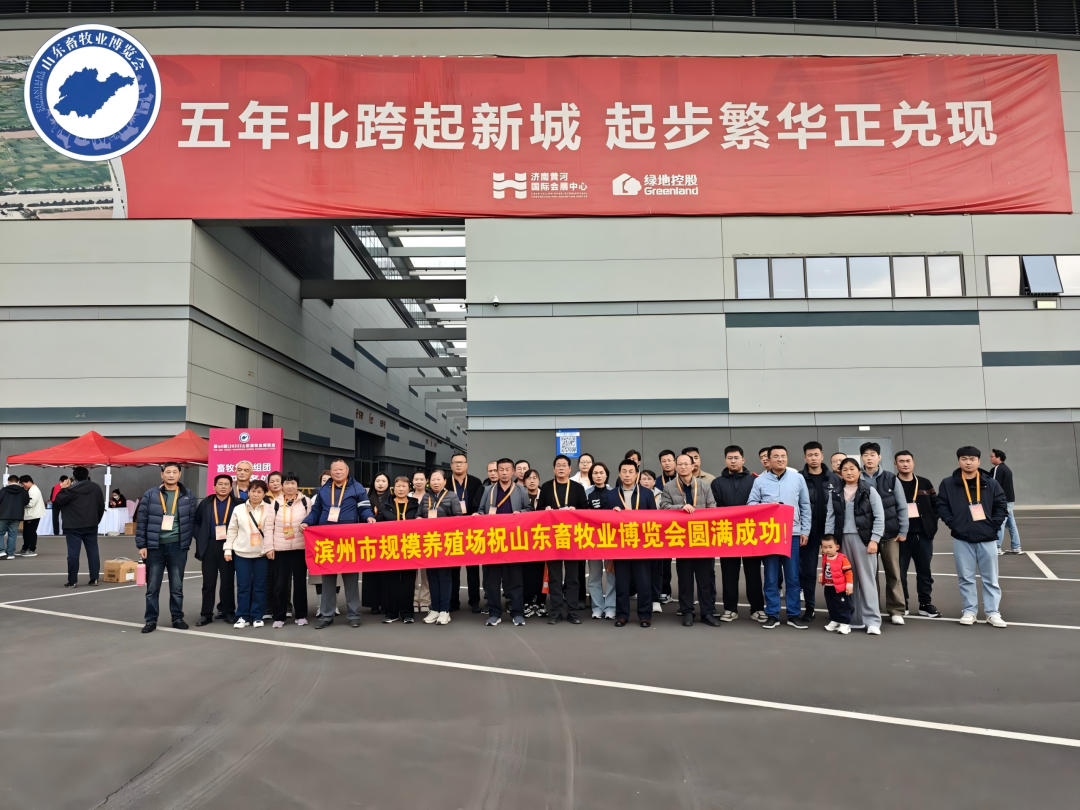 官宣定档 | 深耕实效服务，助力企业高质量增长