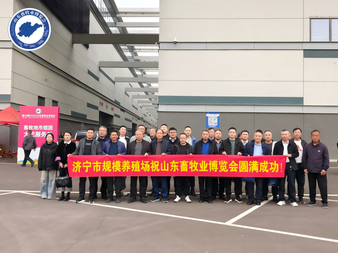 官宣定档 | 深耕实效服务，助力企业高质量增长