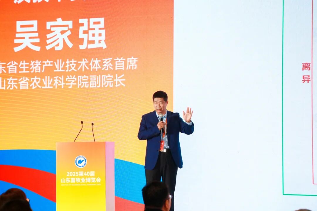 官宣定档 | 深耕实效服务，助力企业高质量增长
