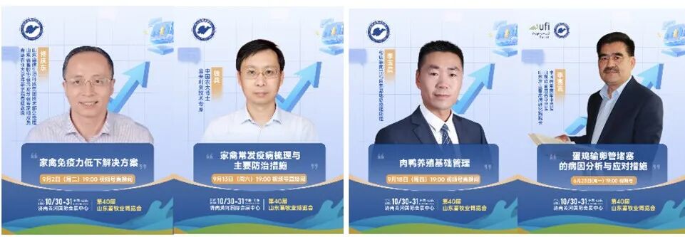 官宣定档 | 深耕实效服务，助力企业高质量增长
