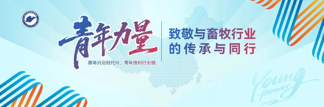 官宣定档 | 深耕实效服务，助力企业高质量增长