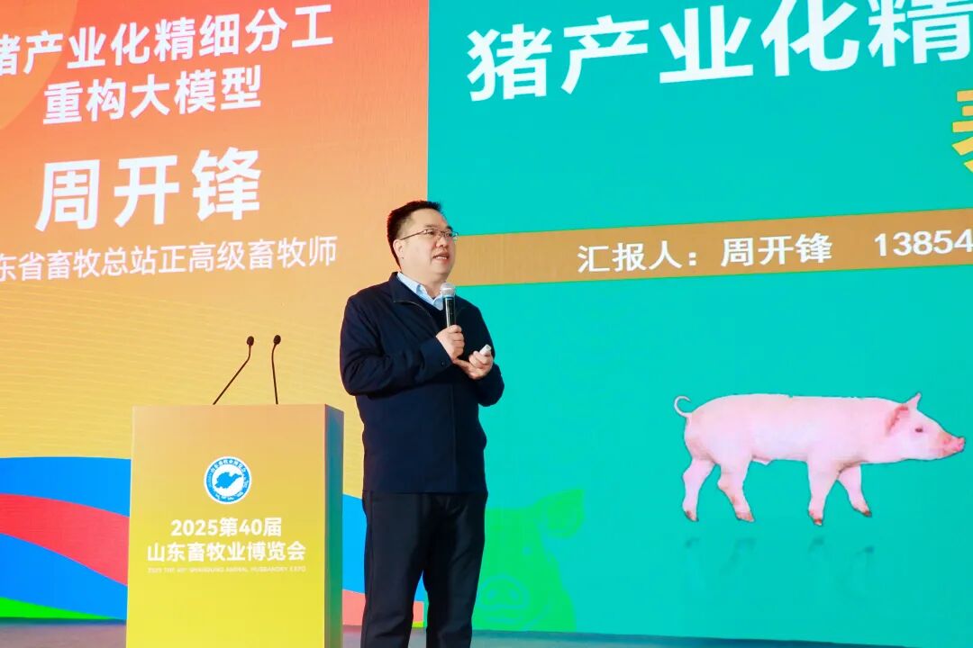 官宣定档 | 深耕实效服务，助力企业高质量增长