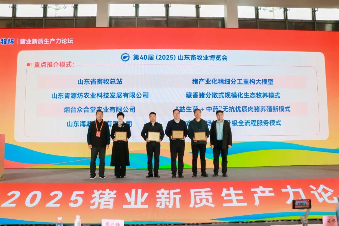 官宣定档 | 深耕实效服务，助力企业高质量增长