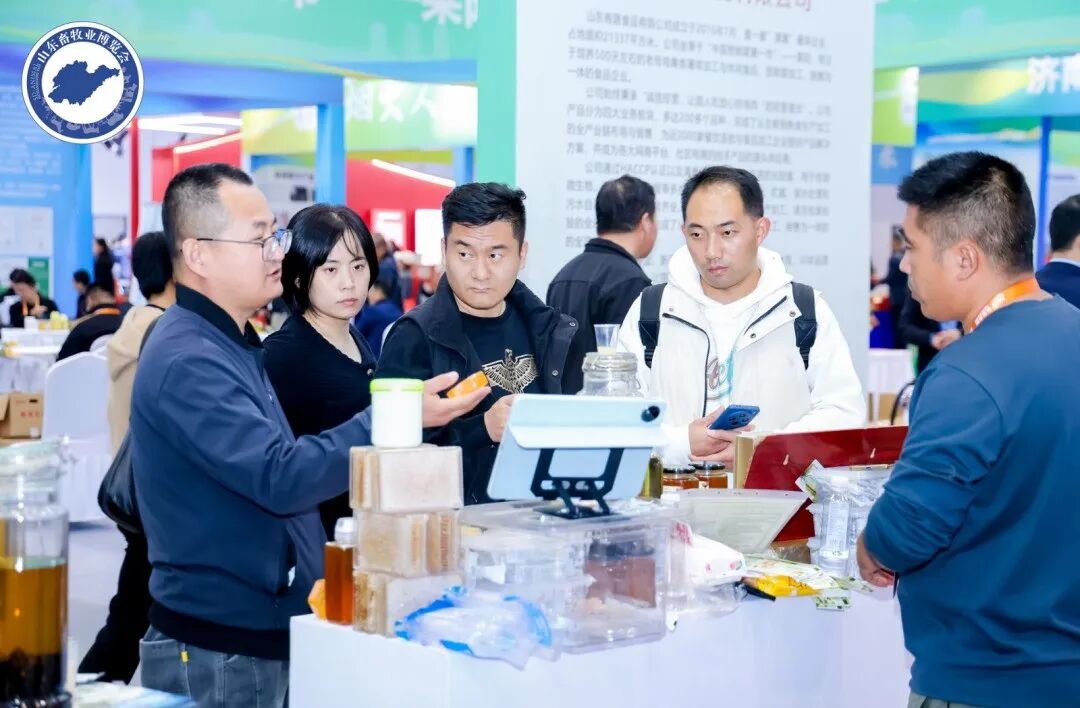 官宣定档 | 深耕实效服务，助力企业高质量增长