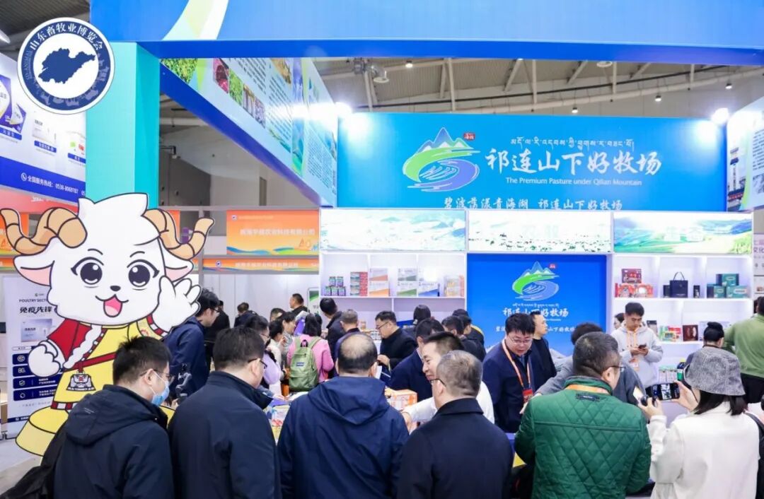 官宣定档 | 深耕实效服务，助力企业高质量增长