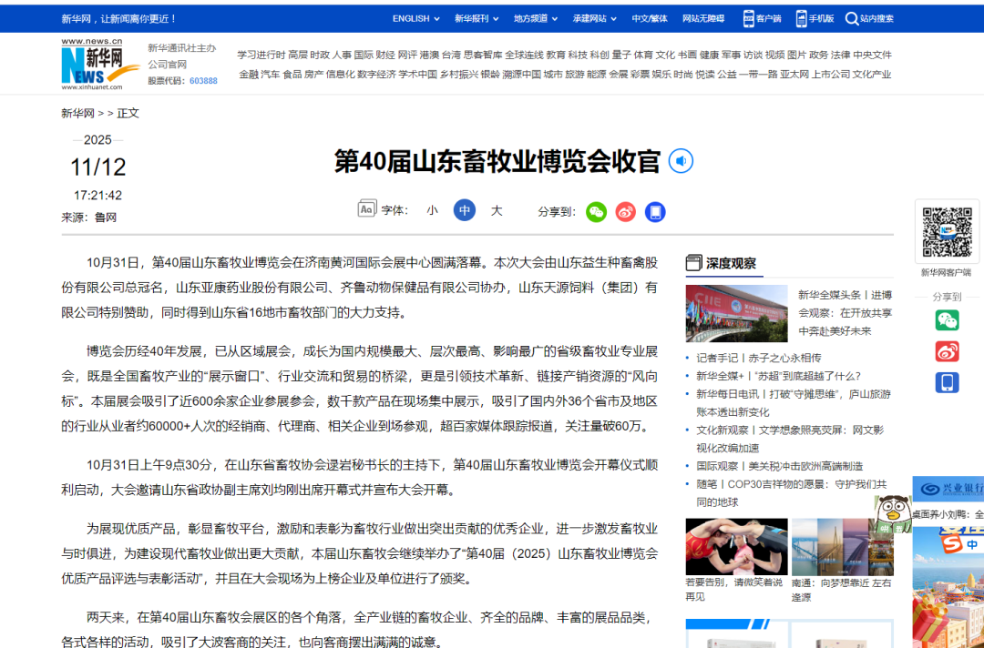官宣定档 | 深耕实效服务，助力企业高质量增长