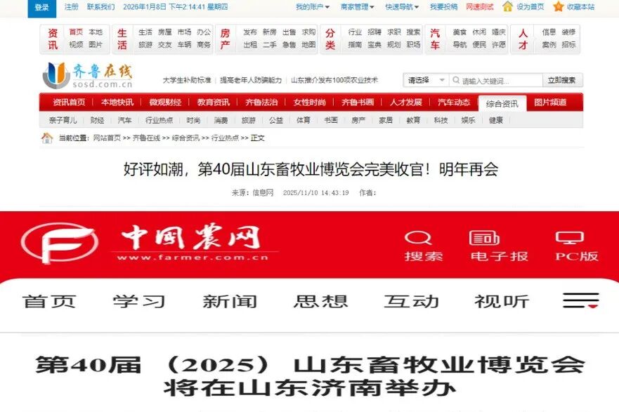 官宣定档 | 深耕实效服务，助力企业高质量增长