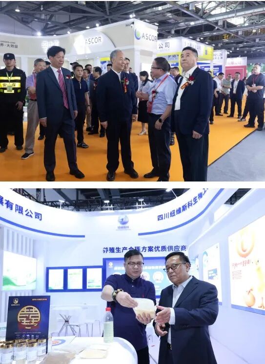 聚势赋能,领航高质量发展 ——2026中国饲料工业展览会:一场产业变革的春之盛宴