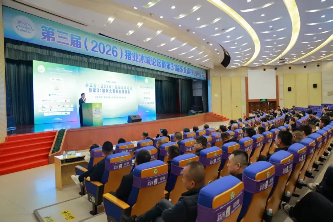 2026第31届东北畜牧业博览会在哈尔滨胜利召开！