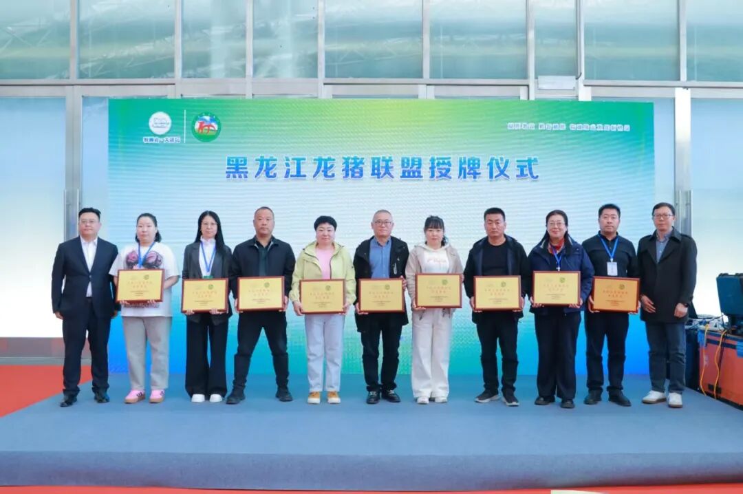 2026第31届东北畜牧业博览会在哈尔滨胜利召开！