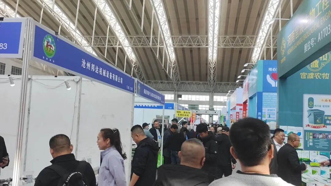 2026第31届东北畜牧业博览会在哈尔滨胜利召开！