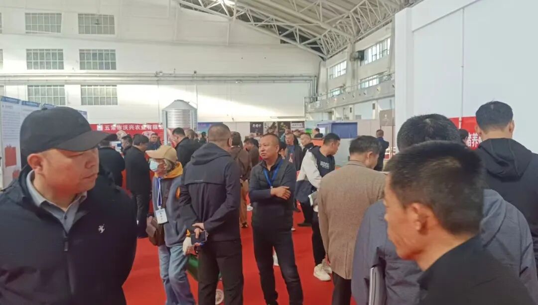 2026第31届东北畜牧业博览会在哈尔滨胜利召开！