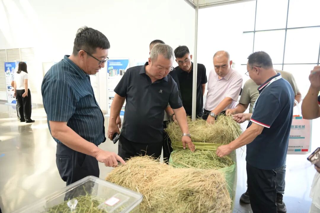2026第四届内蒙古农牧业博览会开幕 全产业链齐聚敕勒川赋能农牧产业升级