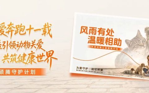 硕腾守护计划 |为爱奔跑十一载，以公益引领动物关爱，共筑健康世界
