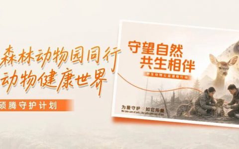 硕腾守护计划|与红山森林动物园同行，共筑动物健康世界