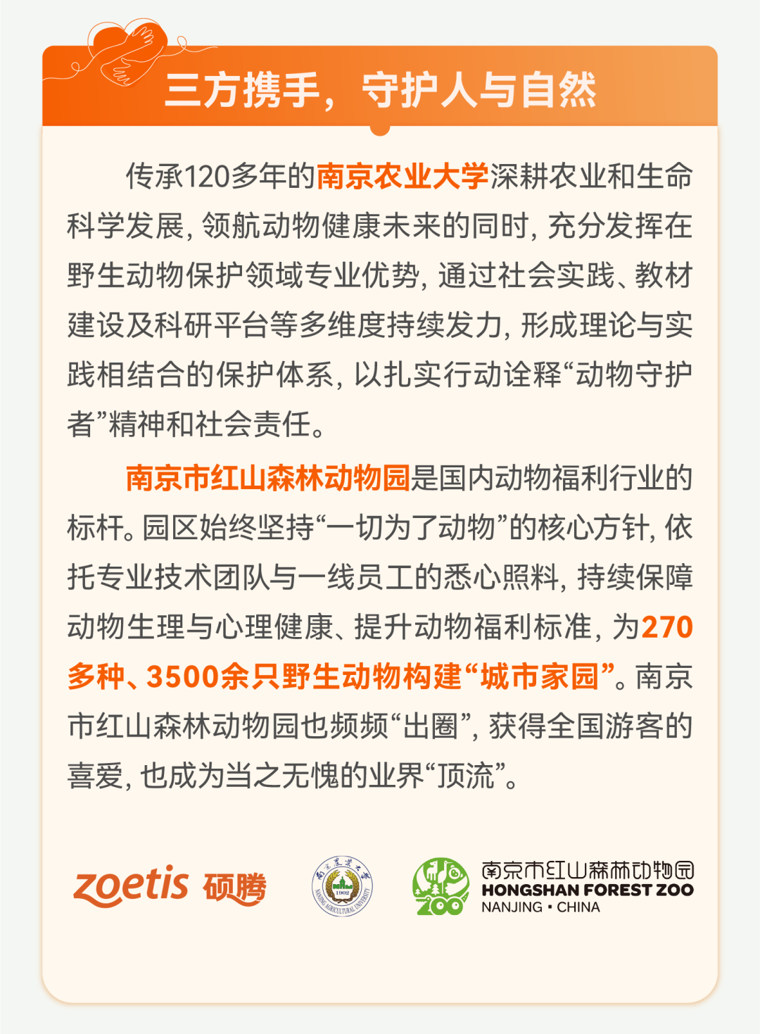 硕腾守护计划|与红山森林动物园同行，共筑动物健康世界
