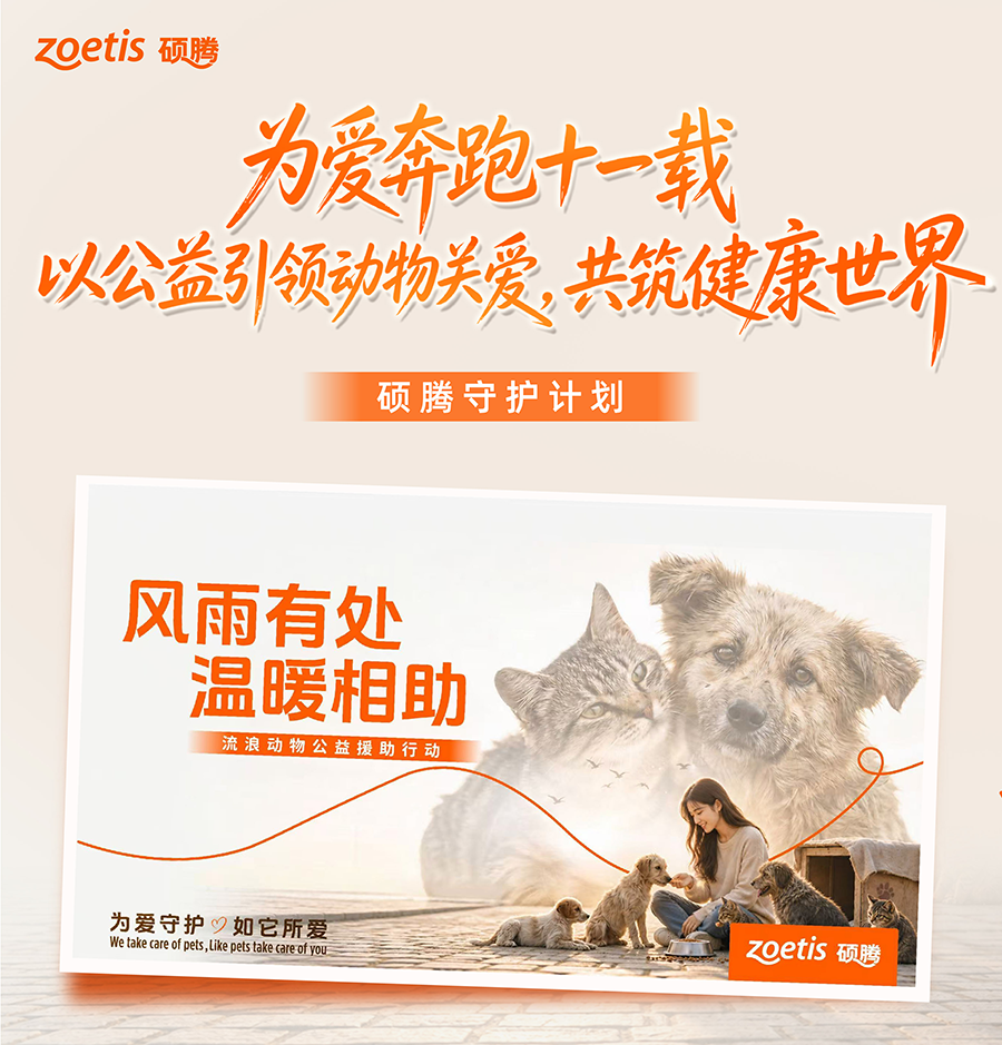 硕腾守护计划 |为爱奔跑十一载,以公益引领动物关爱,共筑健康世界