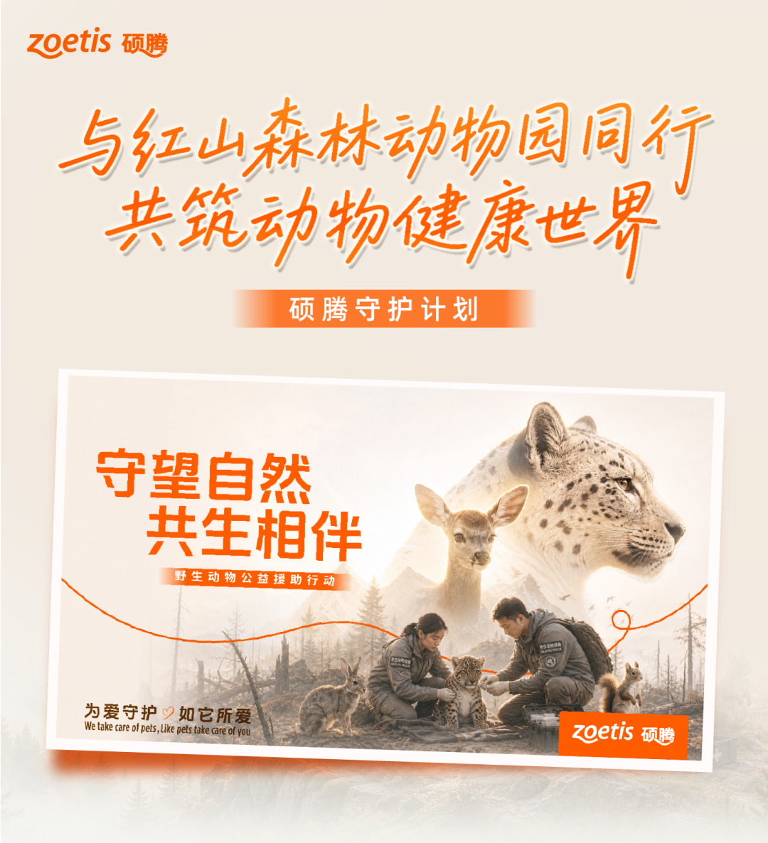 硕腾守护计划|与红山森林动物园同行，共筑动物健康世界