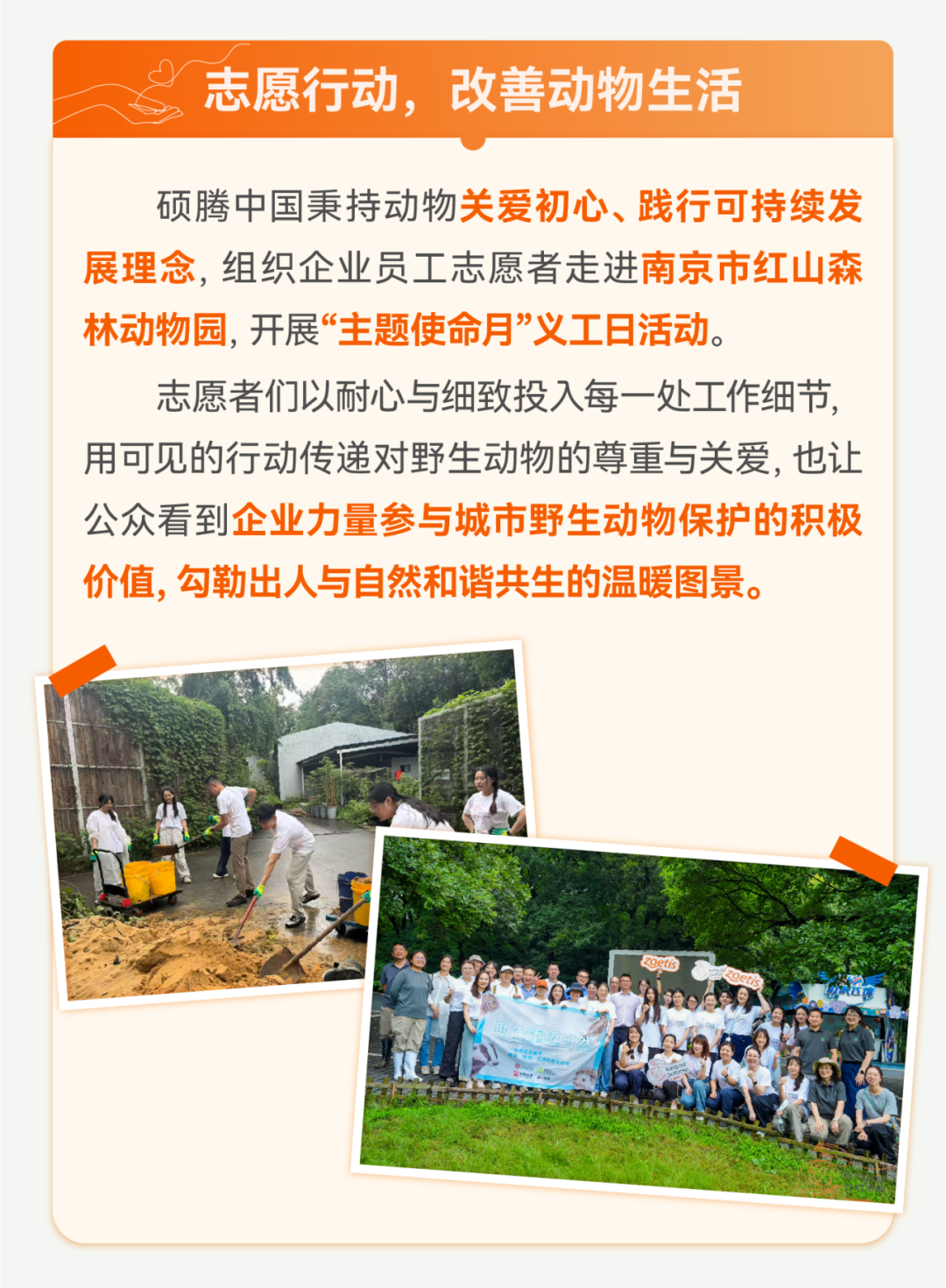 硕腾守护计划|与红山森林动物园同行，共筑动物健康世界