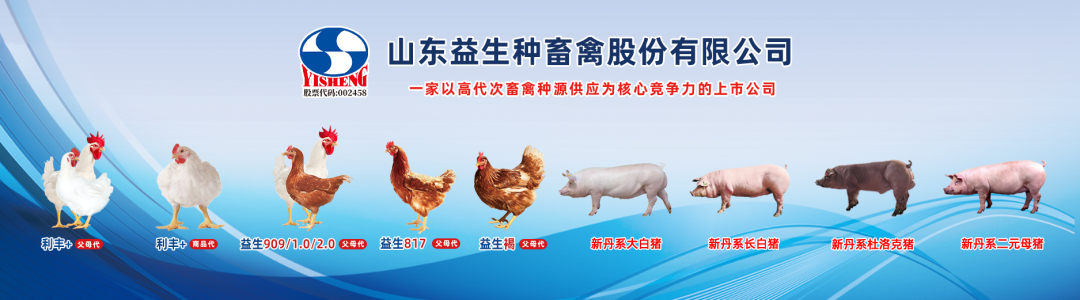 抢先看!第41届山东畜牧业博览会首批展商名录&同期活动全剧透